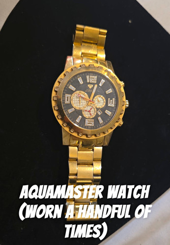 Aqua master quartz chronograph - master,